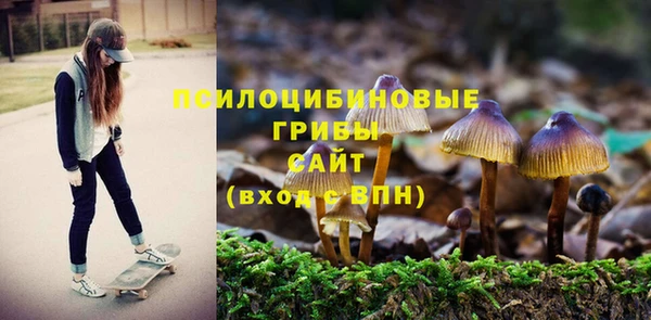 mdpv Алексин