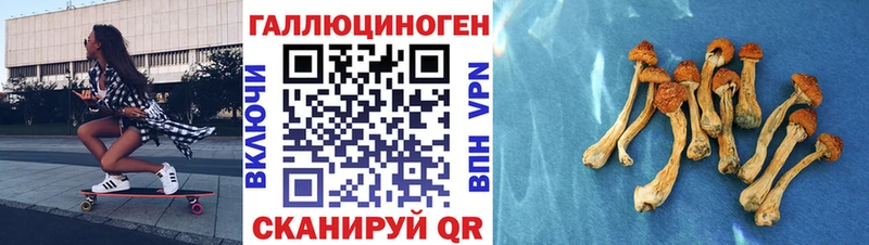 где найти   Омутнинск  Галлюциногенные грибы Magic Shrooms 
